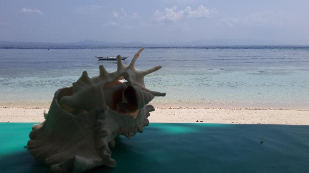 Shirley'S Cottage - Pamilacan Island Baclayon Esterno foto