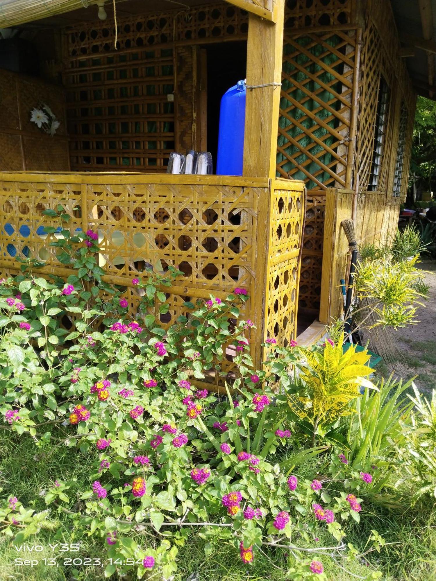 Shirley'S Cottage - Pamilacan Island Baclayon Esterno foto