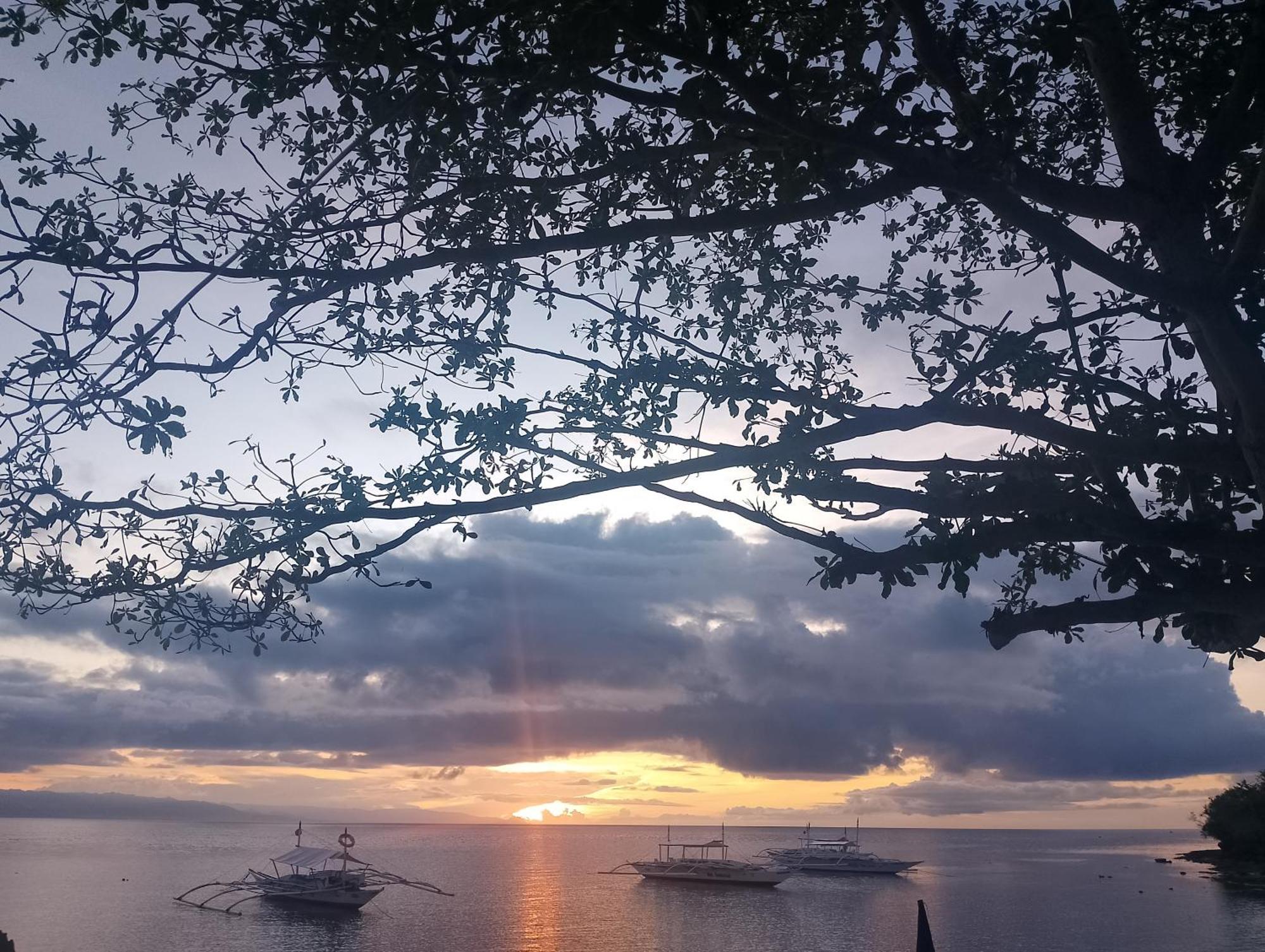 Shirley'S Cottage - Pamilacan Island Baclayon Esterno foto
