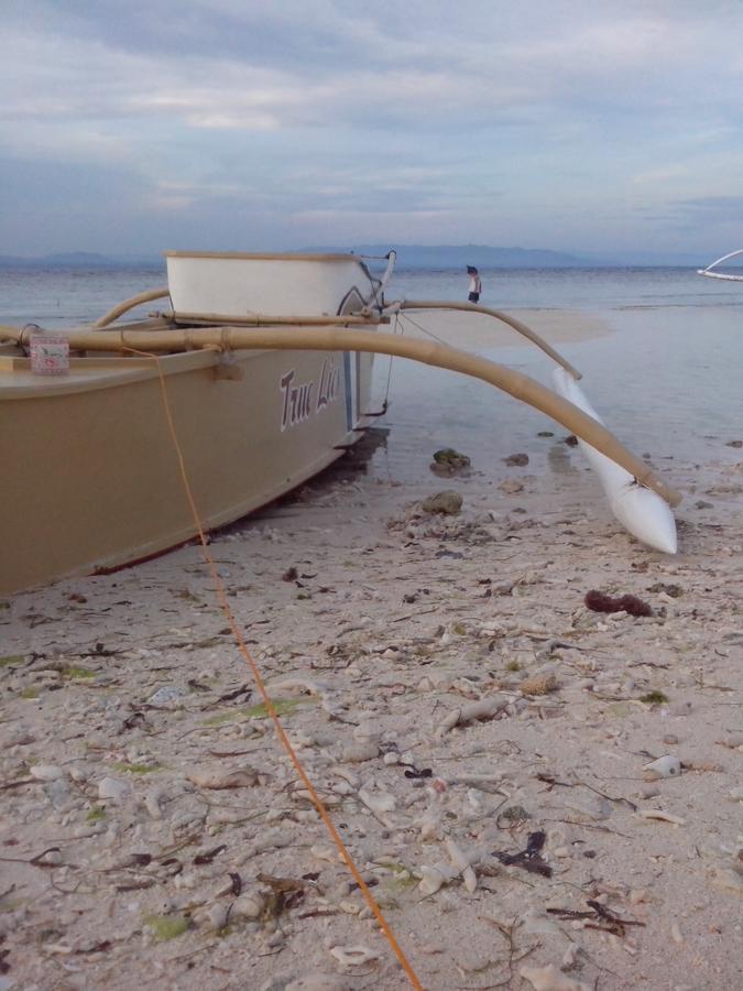 Shirley'S Cottage - Pamilacan Island Baclayon Esterno foto