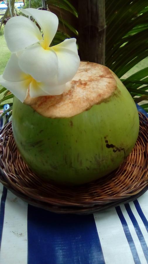 Shirley'S Cottage - Pamilacan Island Baclayon Esterno foto